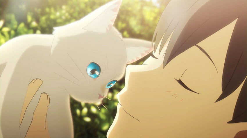 Nakitai Watashi wa Neko wo Kaburu Anime Film apresentará a música de inserção 'Yakou' de Yorushika. MOSHI MOSHI NIPPON. ããããã«ã£ã½ã papel de parede HD